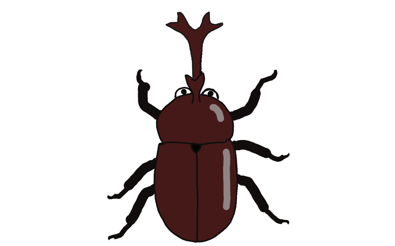 beetle