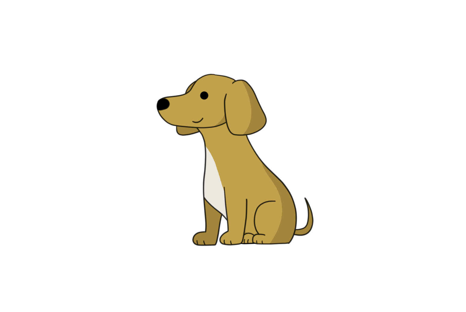 smiling miniature dachshund