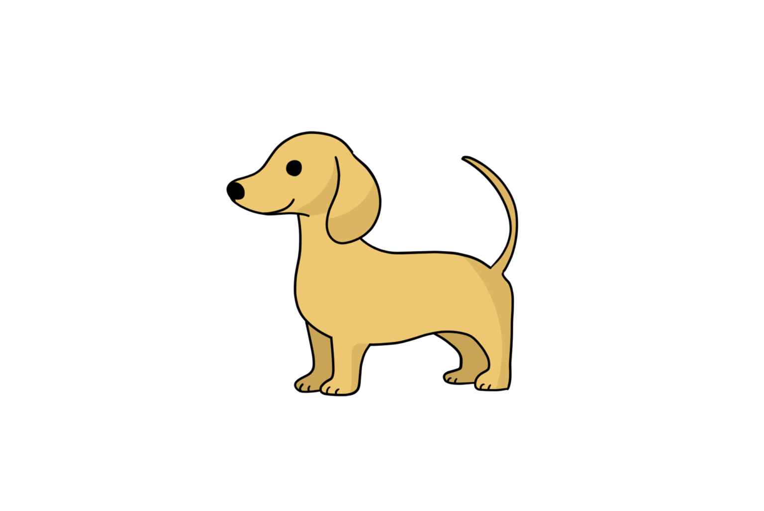 sideways miniature dachshund
