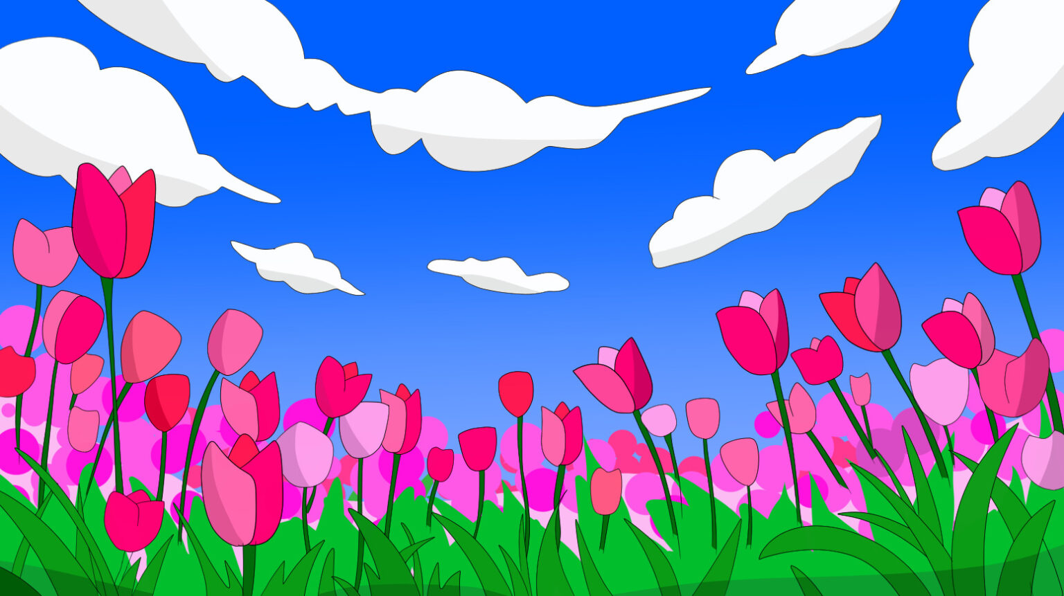 blue-sky-and-tulips